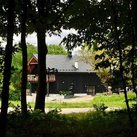 카지미에르즈 돌니 Witoszyn28 B&B 외부 사진